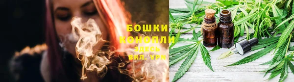 прущие грибы Алексеевка