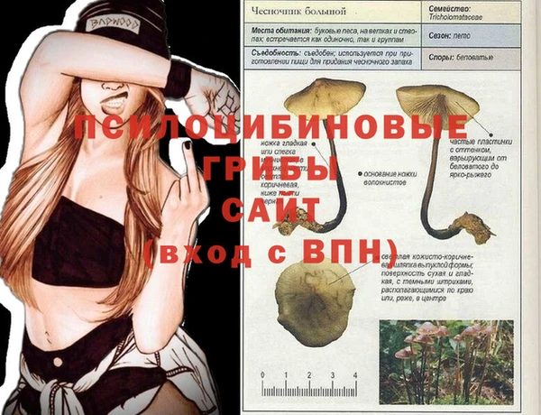 прущие грибы Алексеевка
