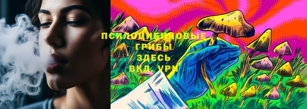 прущие грибы Алексеевка