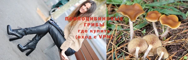 кокаин колумбия Алексин