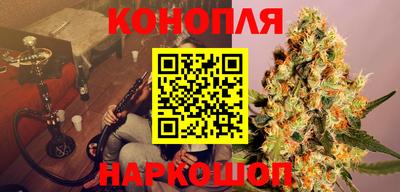 бошки Кинель