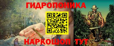 бошки Кинель