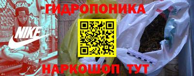 соль ск Кингисепп