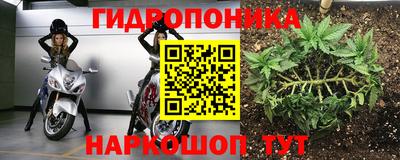 соль ск Кингисепп