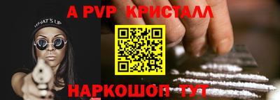 соль ск Кингисепп