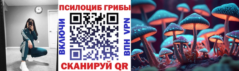 сколько стоит  Кызыл  Галлюциногенные грибы MAGIC MUSHROOMS 